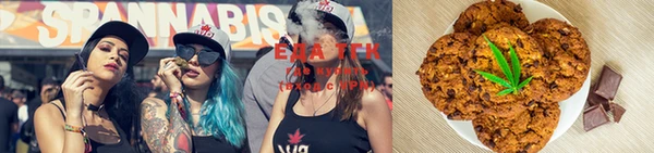 хмурый Ельня