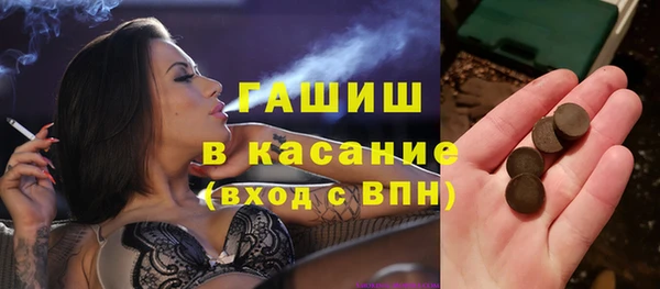 хмурый Ельня