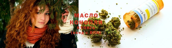 хмурый Ельня