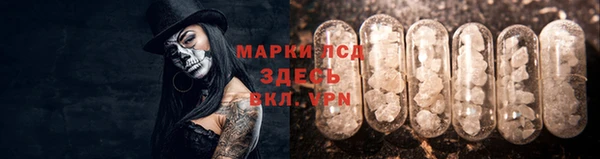 хмурый Ельня