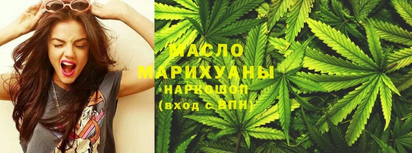 хмурый Ельня