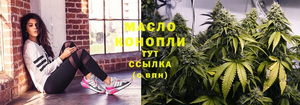 хмурый Ельня