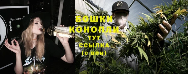 мяу мяу мука Елабуга