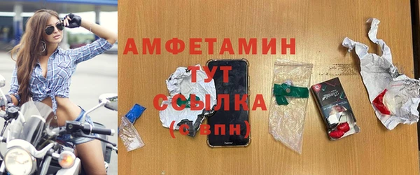 хмурый Ельня