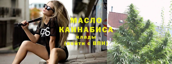 хмурый Ельня