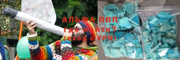 хмурый Ельня