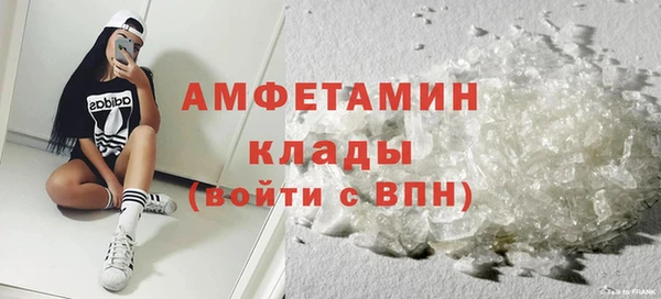 хмурый Ельня