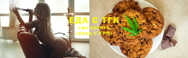 хмурый Ельня