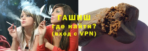 хмурый Ельня