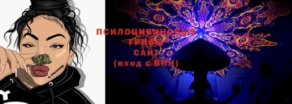 мяу мяу мука Елабуга