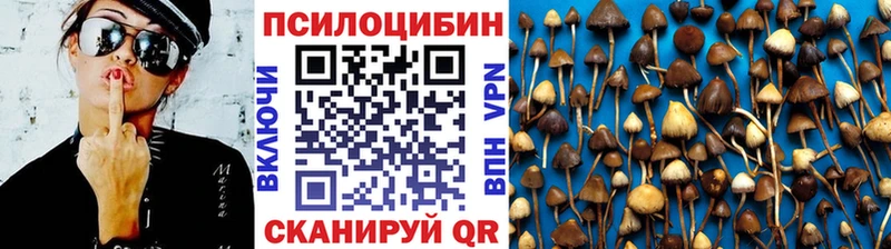 Купить где  Верхний Тагил  Галлюциногенные грибы Psilocybe 